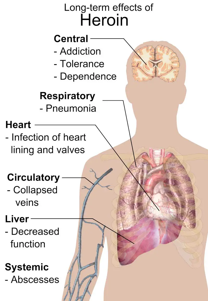 Long term effects for body