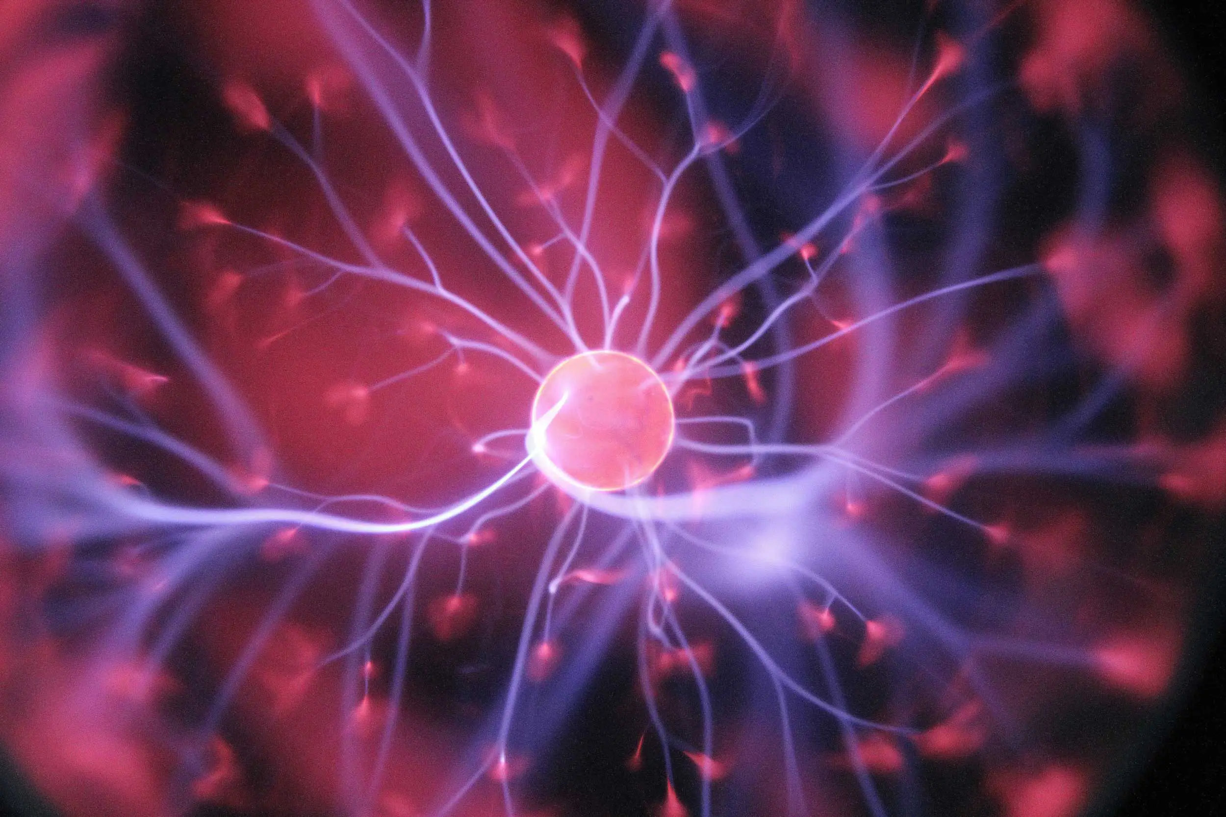 neuron image